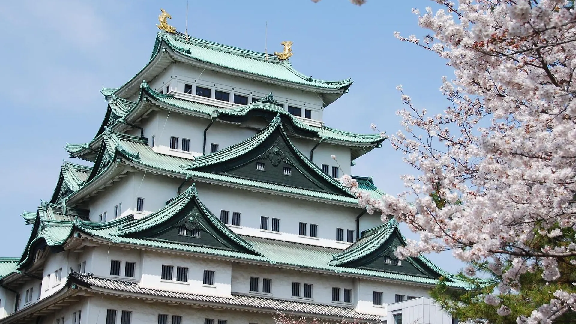 Nagoya Creston Hotel 3*,  Japonia